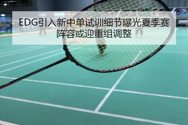 EDG引入新中单试训细节曝光夏季赛阵容或迎重组调整